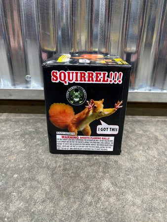 Squirrel!!! - 16 shot