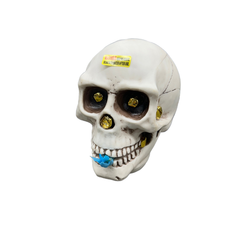 Background removed image
