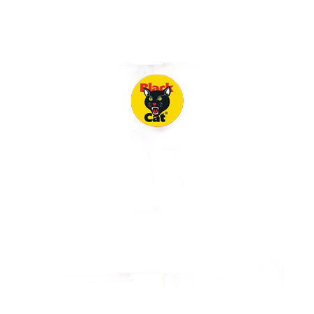Background removed image
