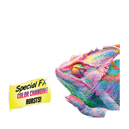 Background removed image