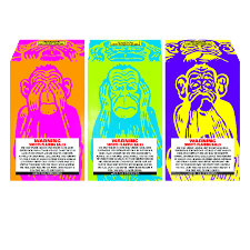 Background removed image