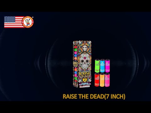 Raise the Dead 7