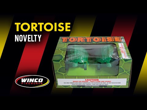 Tortoise - 2 pack