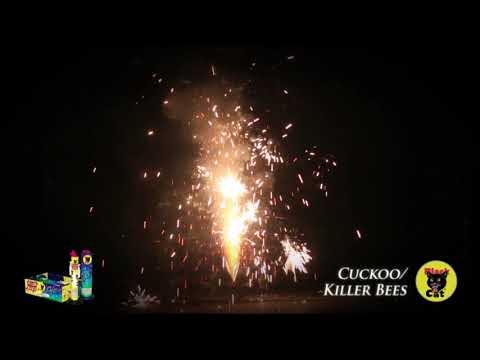 Cuckoo / Killer Bee - 4 pack