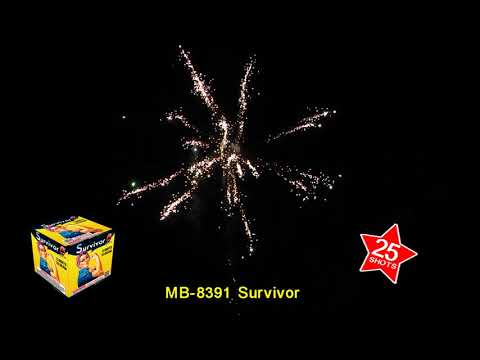 Survivor - 25 shot