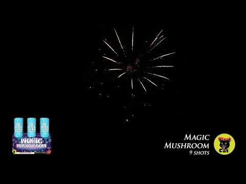 Magic Mushroom