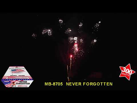 Never Forgotten - 300 shot