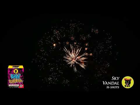 Sky Vandal - 16 Shots