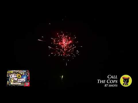 Call the Cops - 87 shots