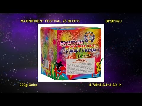 Magnificent Festival - 25 shot