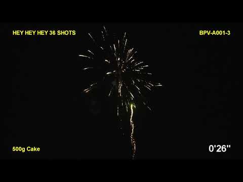 Elvis Hey Hey Hey - 36 Shots