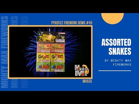 Assorted Snakes - 6 Pack