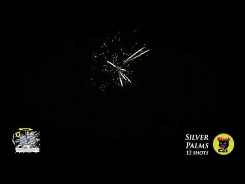 Silver Palm - 12 Shots